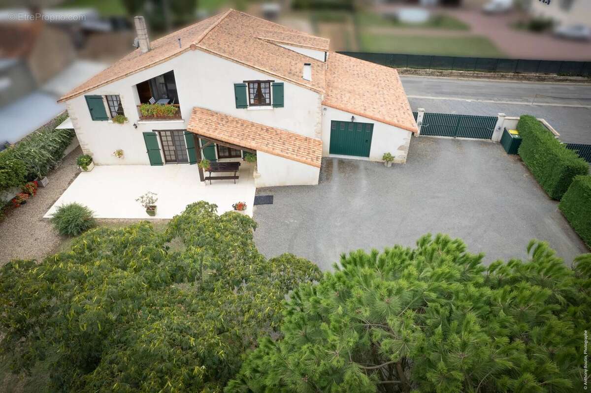 Maison à THENEZAY
