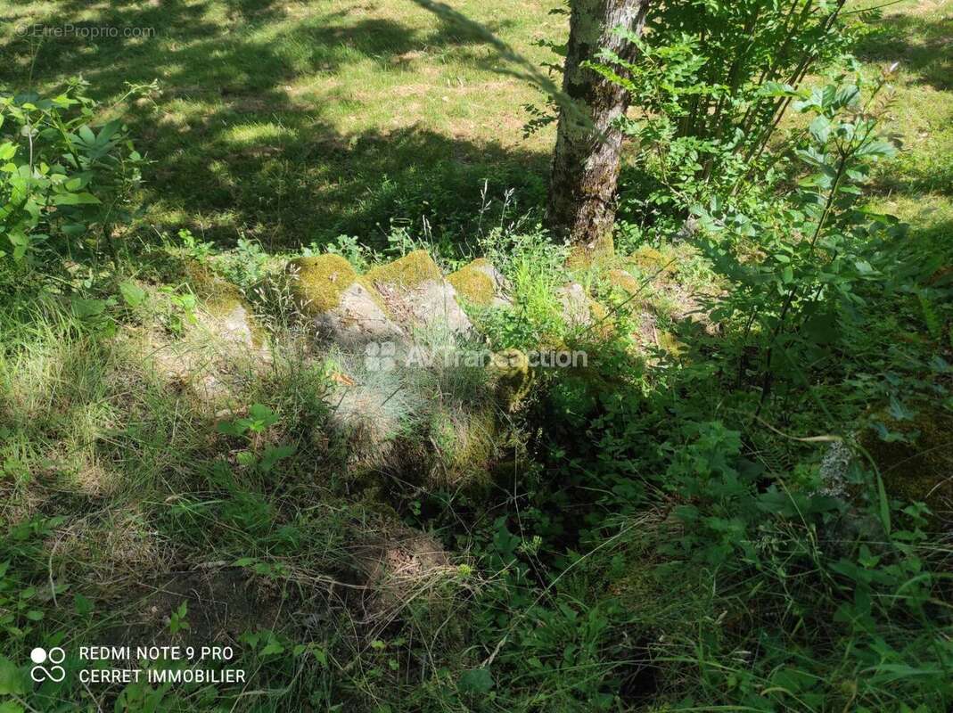 Terrain 5257 m² à Colognac  - photo 13