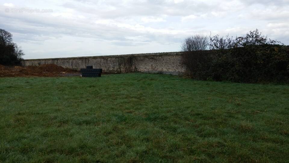 Terrain à VILLENNES-SUR-SEINE