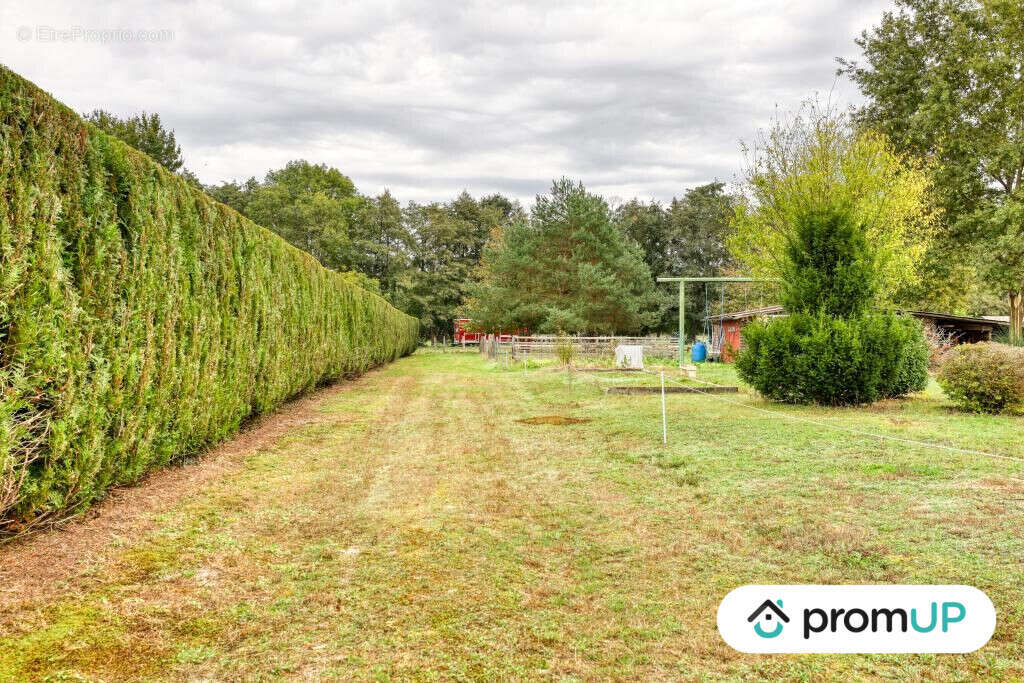 Terrain à GUECELARD