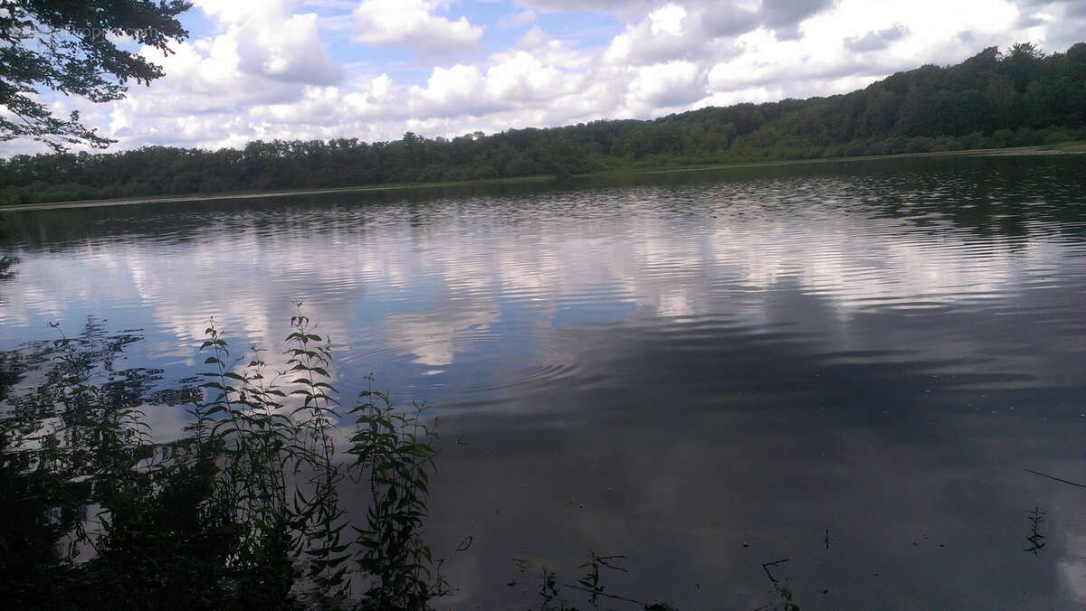Terrain à PLOMBIERES-LES-BAINS