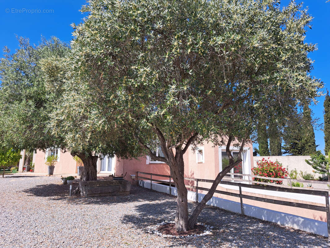 Maison à SALLELES-D&#039;AUDE
