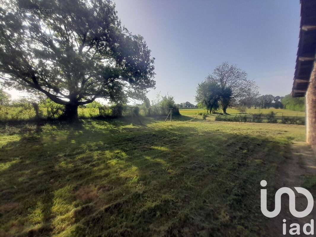 Photo 3 - Maison à AIXE-SUR-VIENNE