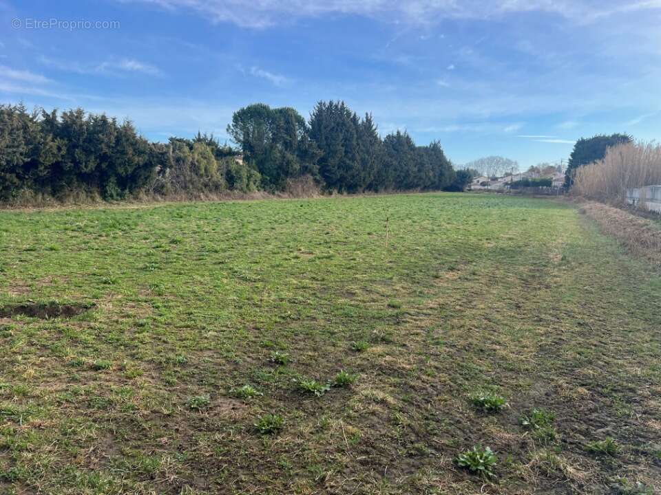 Terrain 600 m² à Fontvieille  - photo 2