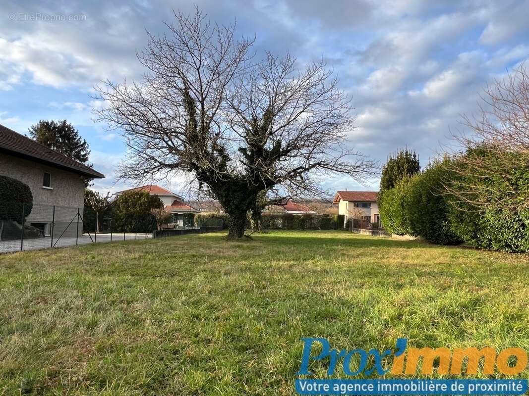 Terrain à SAINT-JEAN-DE-MOIRANS