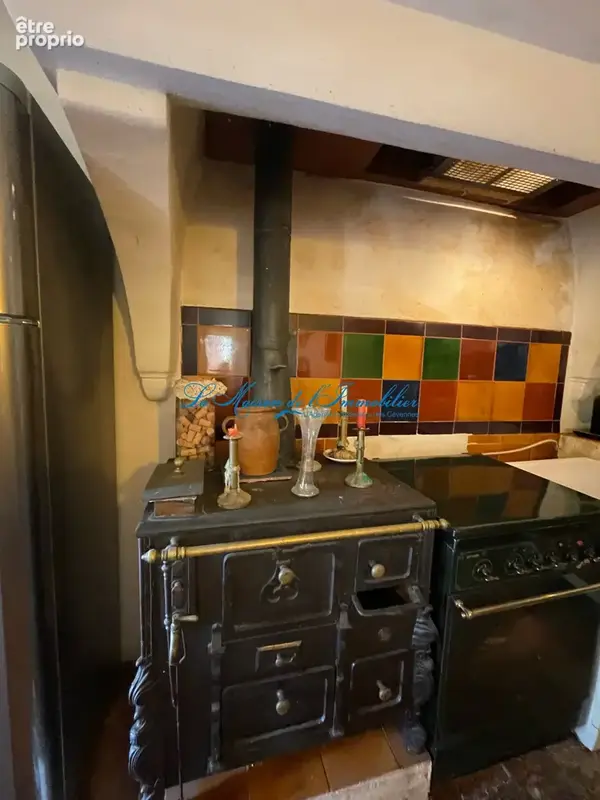 Entre NIMES et ALES, domaine équestre avec mas en pierres 2 logements sur un terrain 2 ha 18 - photo 18