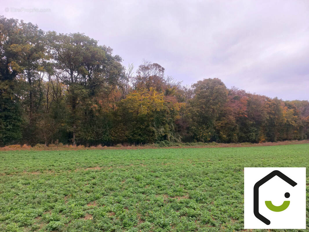 Terrain à SAUVILLERS-MONGIVAL