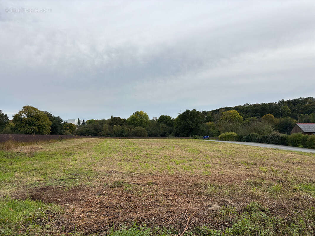 Terrain à CHATEAUBOURG