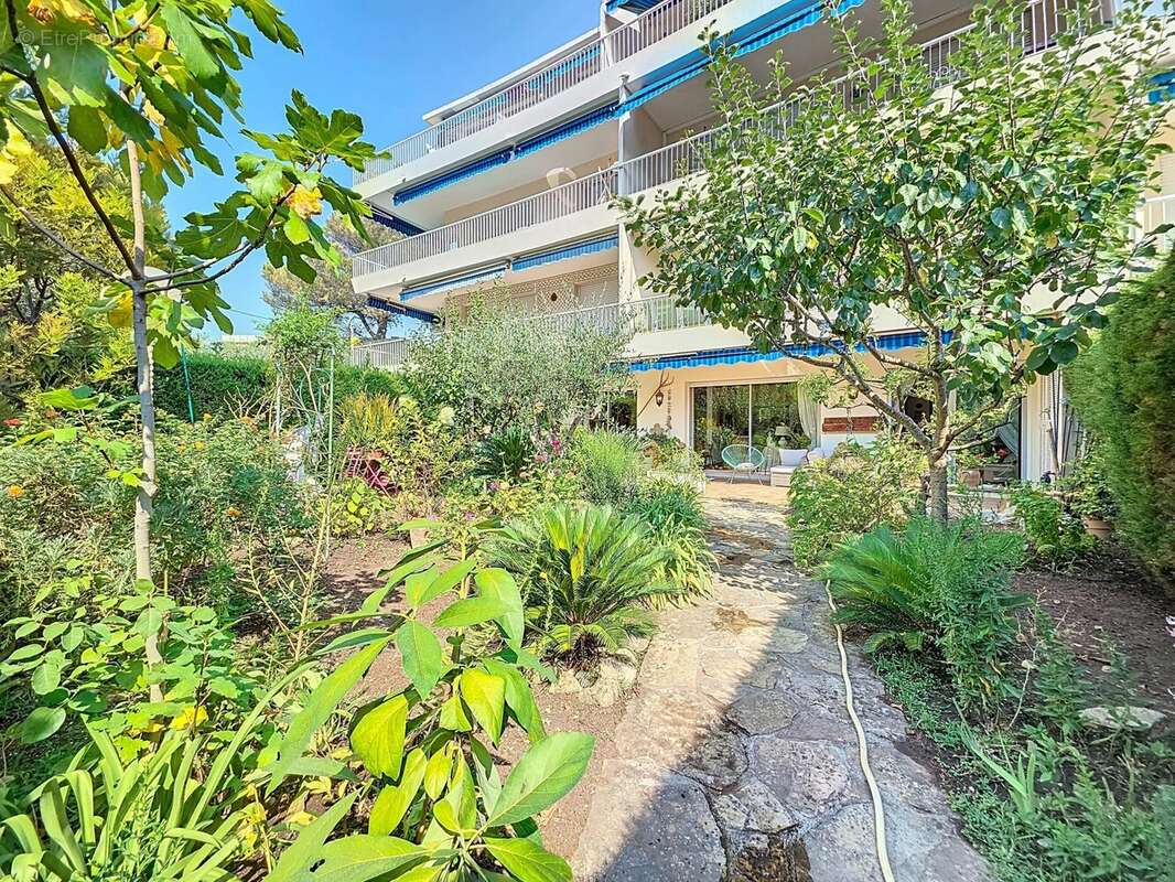PROCHE CANNET MAIRIE : Superbe 4 pièces en rez-de-jardin avec 122 m² d’extérieur - photo 2