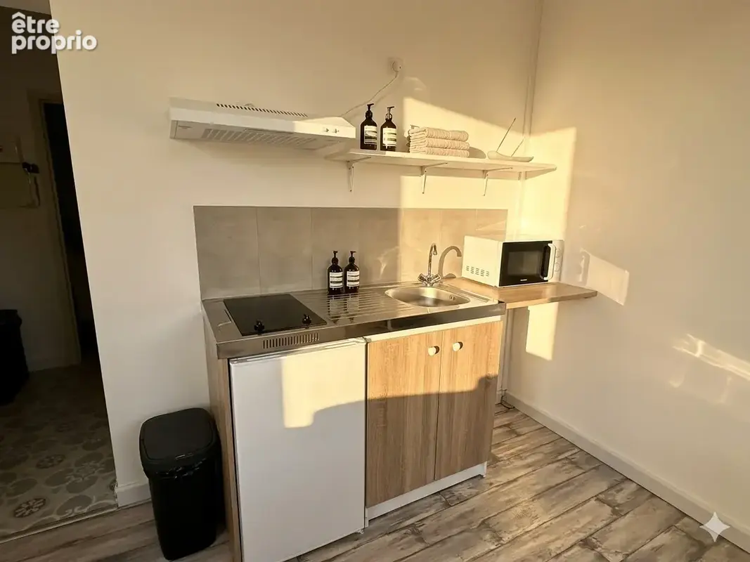 Studio 20 m2 loué, sans travaux — Yvrac - photo 2