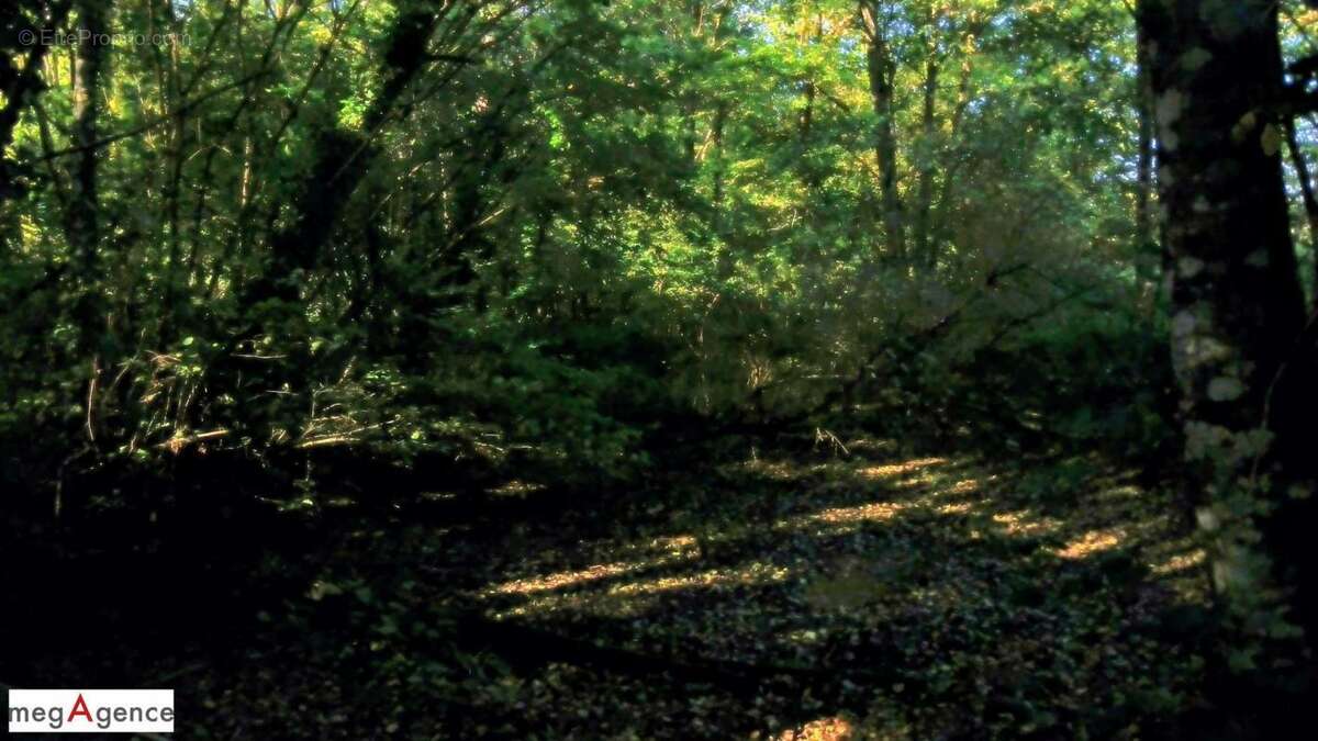 Maison à SAINT-DENIS-D&#039;AUTHOU