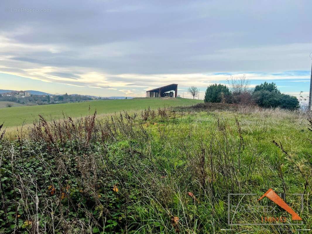 Terrain à MARTRES-TOLOSANE