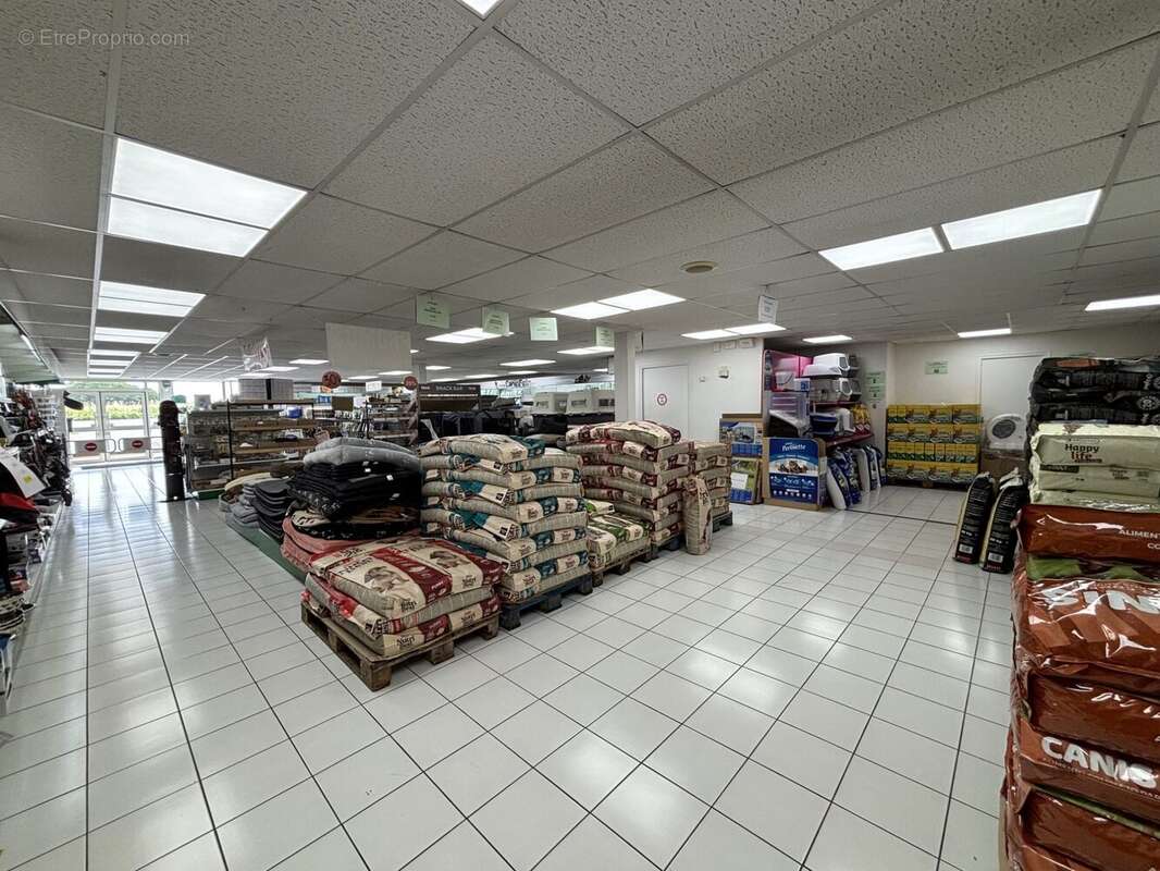 Commerce 633 m² à Boissise-Le-Roi  - photo 3