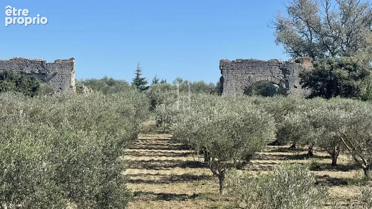 Propriété Alpilles Sud  dans site exceptionnel et protégé - photo 9