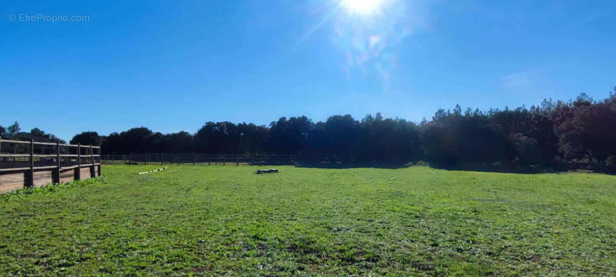 Propriété équestre de charme entre Uzès et Nîmes - photo 4