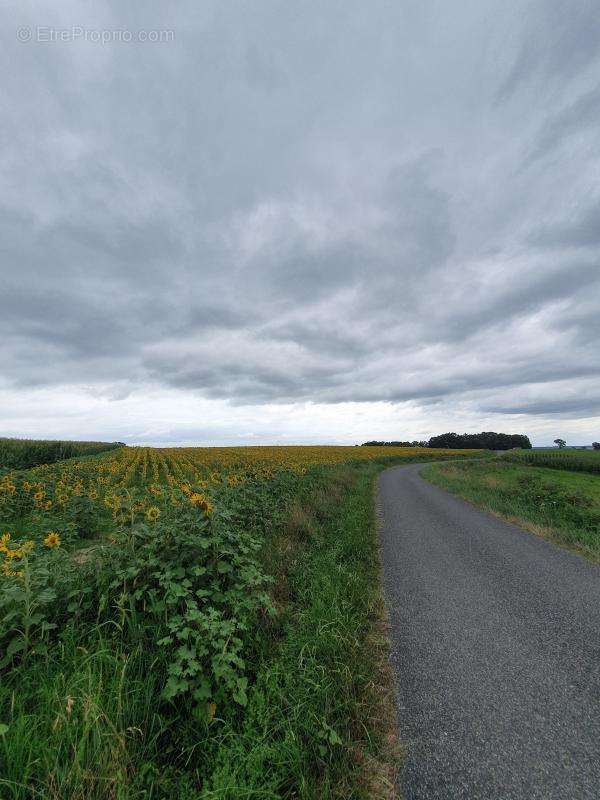 Terrain à SAULT-DE-NAVAILLES