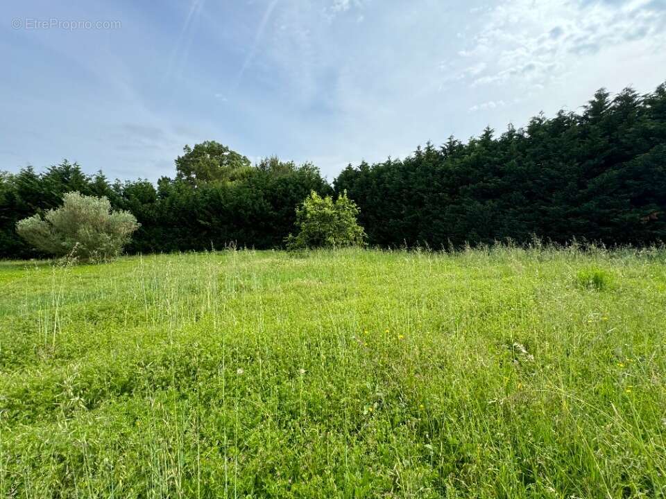 Terrain à SAINT-PAPOUL