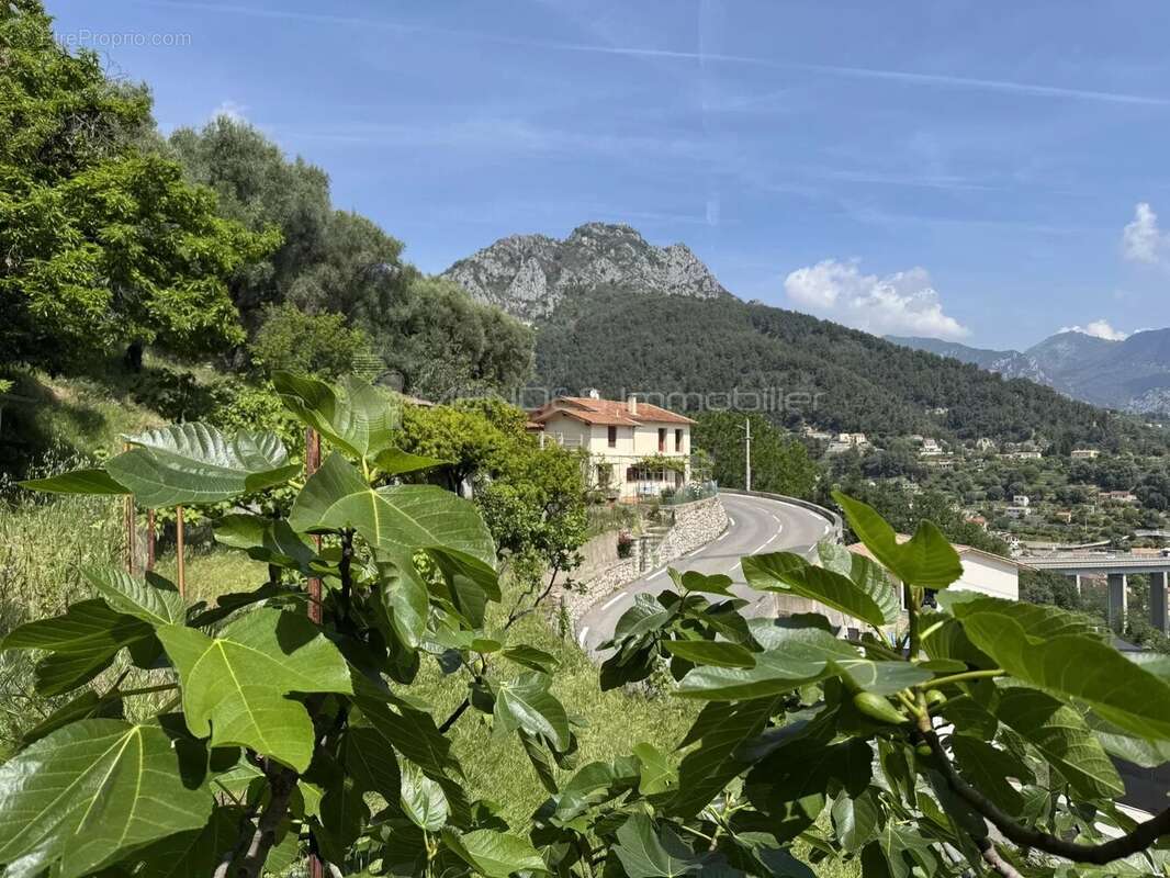 Terrain constructible a proximite de menton - photo 4