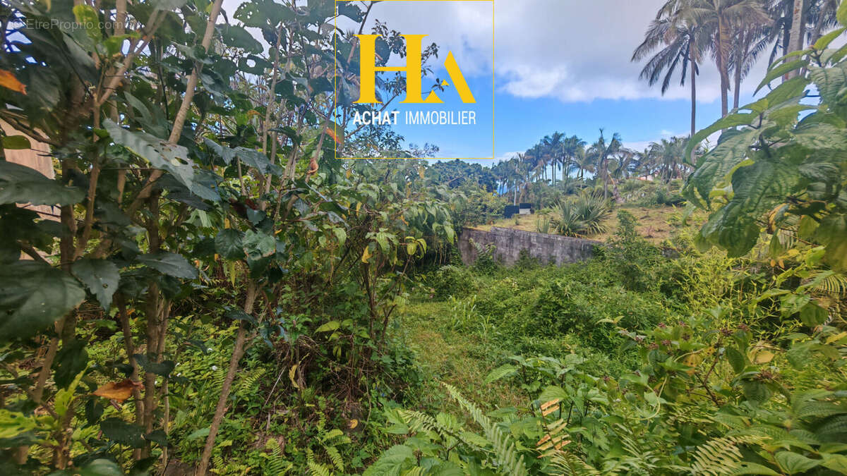 Maison à SAINT-PHILIPPE