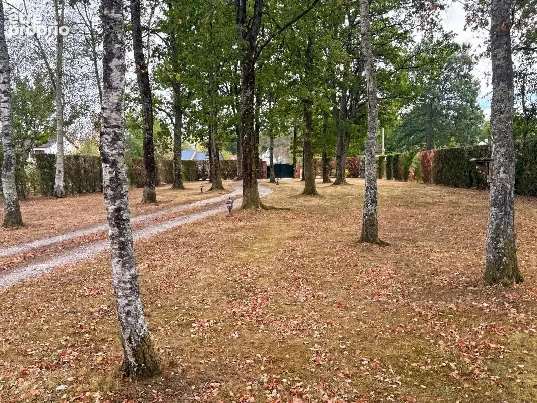 A saisir Charmante maison à La Ferté-Imbault - photo 11