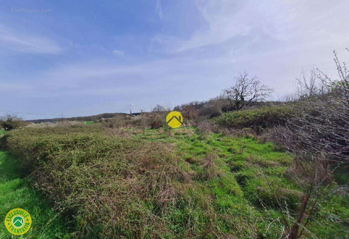 Terrain à LEVROUX