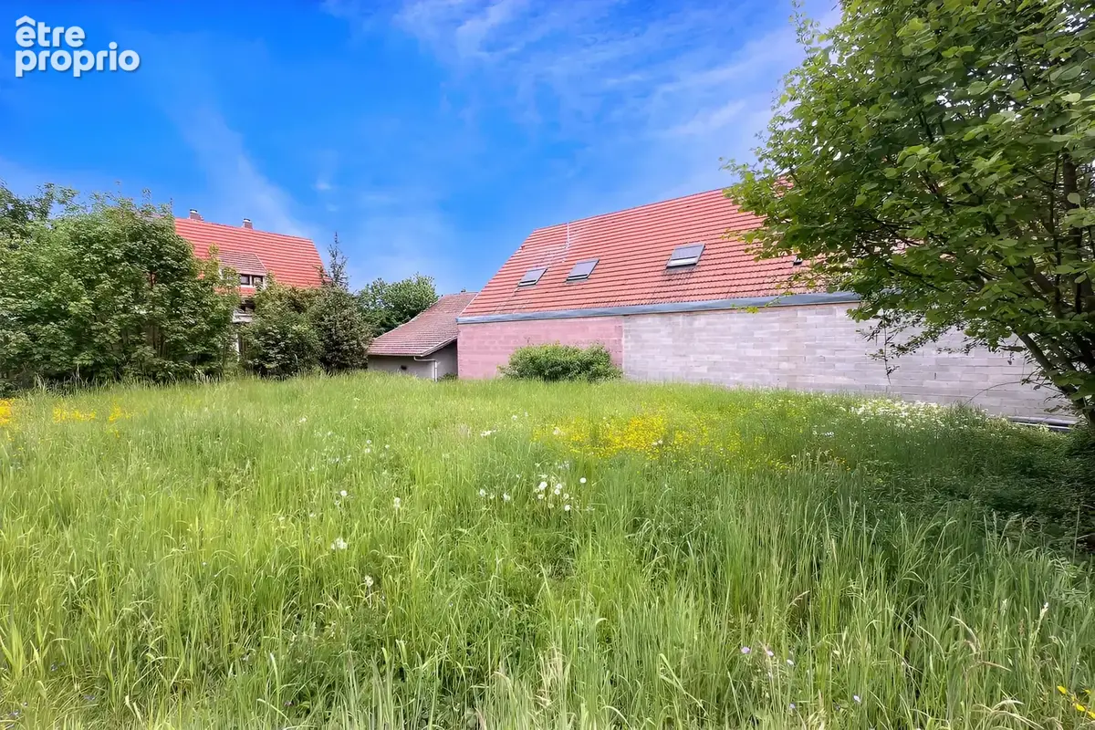 Terrain à ORSCHWIHR