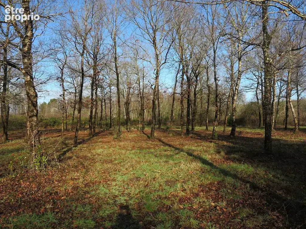 Terrain de 6155 m² dont 1600 m² de constructible - photo 9