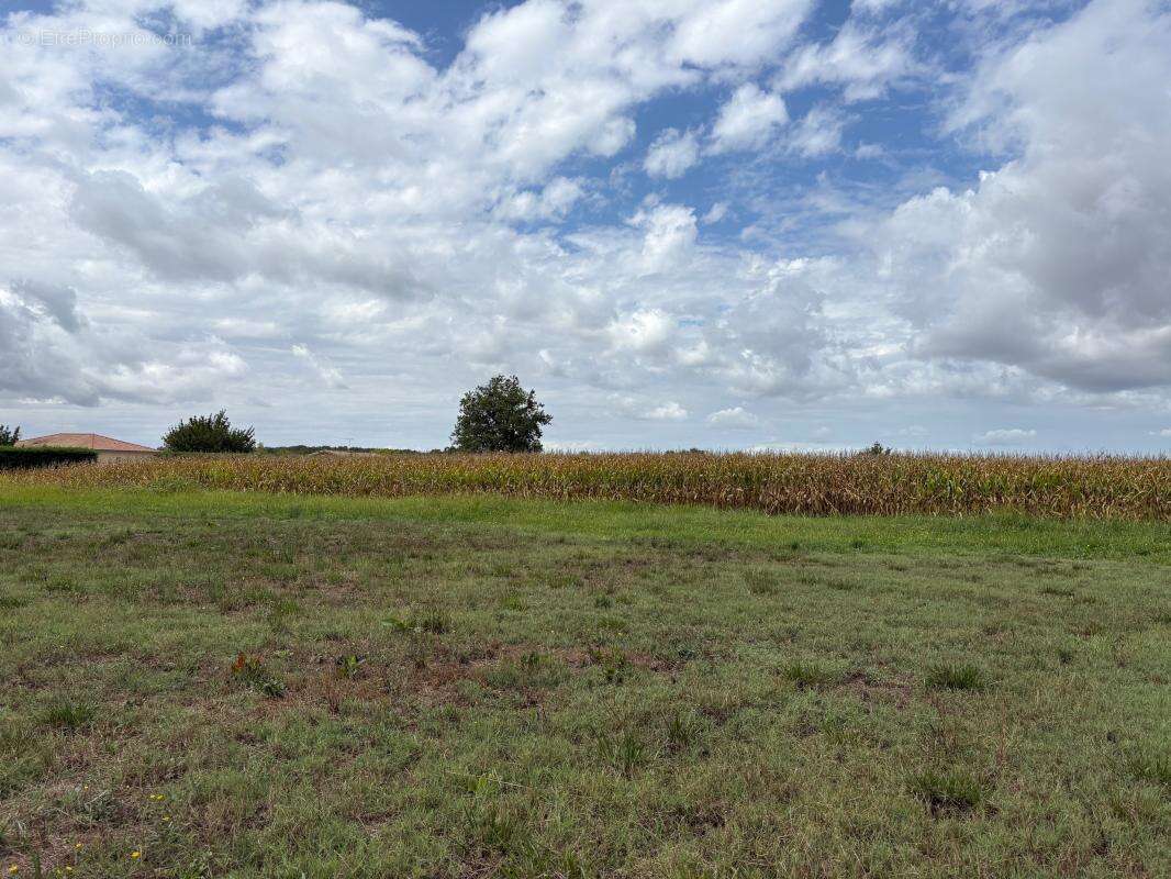 Terrain à LA VILLE-DIEU-DU-TEMPLE