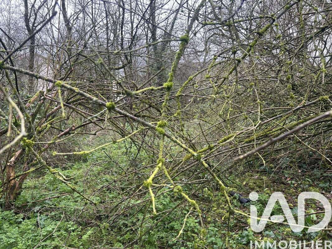 Photo 2 - Terrain à MAINE-DE-BOIXE