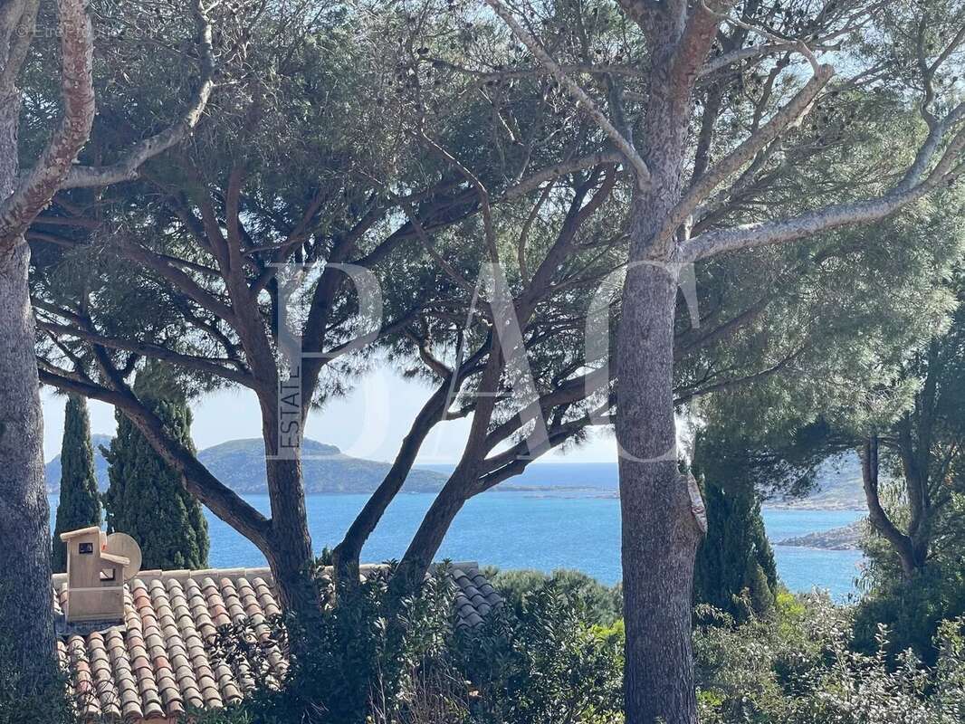 Maison à SAINT-TROPEZ