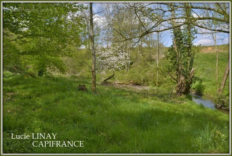 Maison de caractère sur près d'1 hectare - photo 14