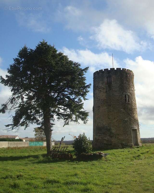 Terrain à SAINT-MATHURIN