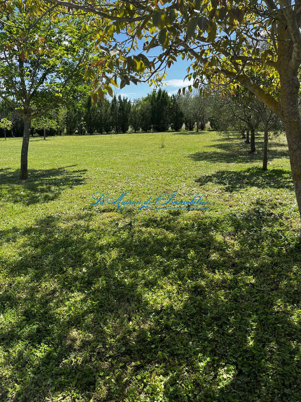 Lédignan - Charmante villa familiale avec piscine sur 2691 m2 de terrain. - photo 17