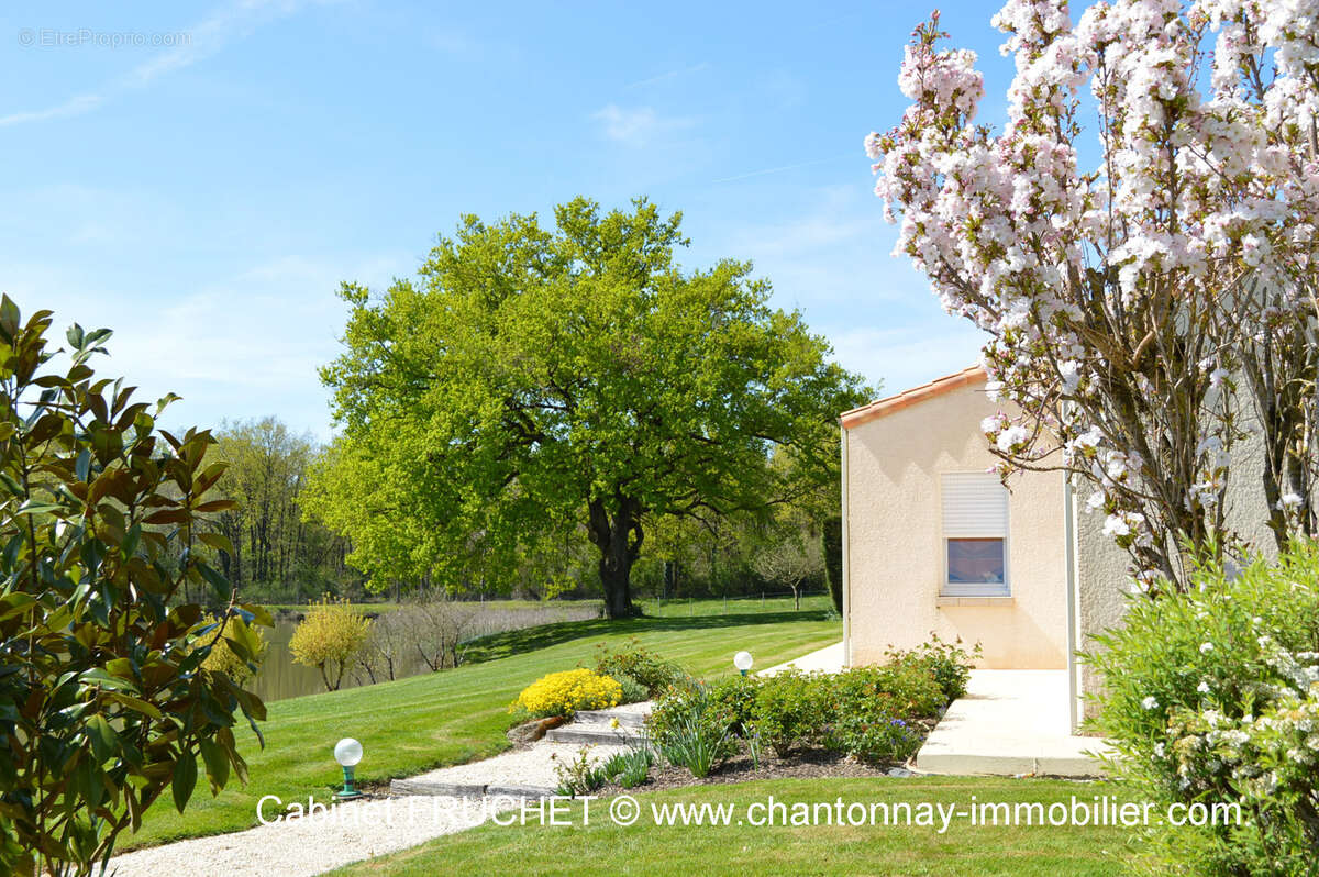 Maison à CHANTONNAY