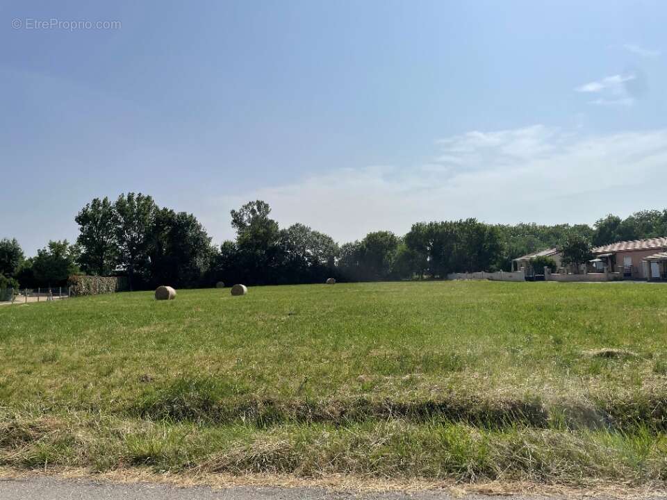 Terrain 600 m² à Revel  - photo 2
