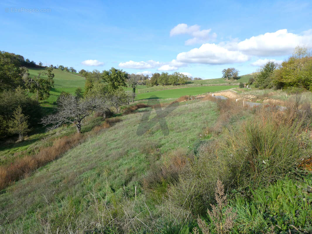 Terrain à SAINT-LAURENT-DE-CHAMOUSSET