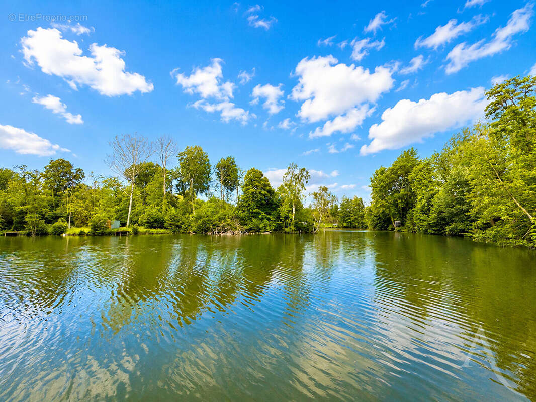Exceptionnel domaine nature de près de 3 hectares avec étangs et rivière - photo 5