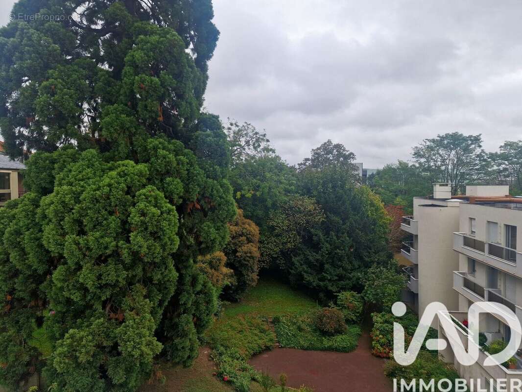 Photo 3 - Appartement à NOGENT-SUR-MARNE