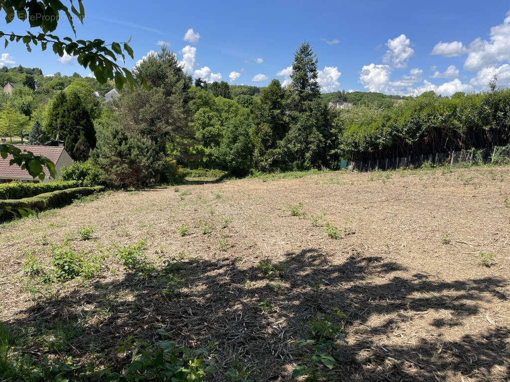 Terrain à SAINT-SORNIN-LAVOLPS