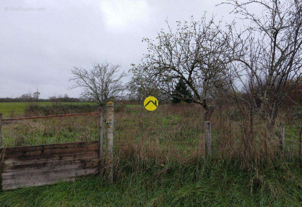 Maison à CHATEAU-SUR-ALLIER
