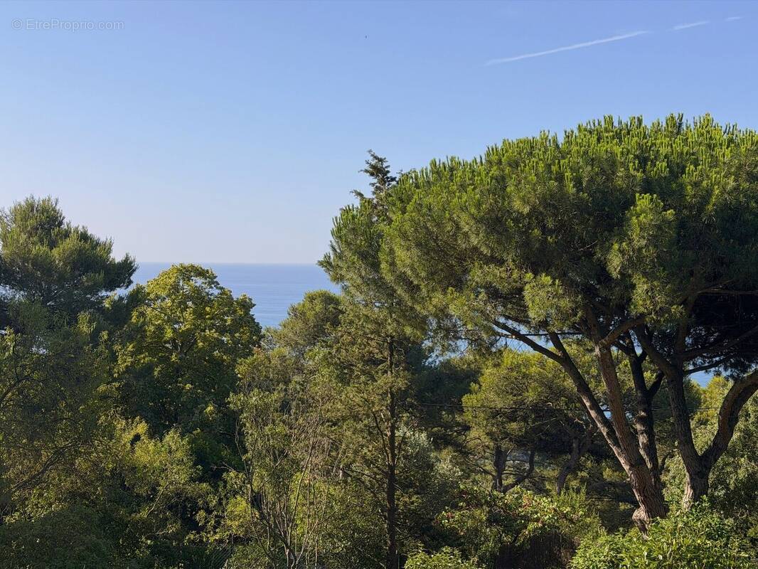 Terrain à SETE