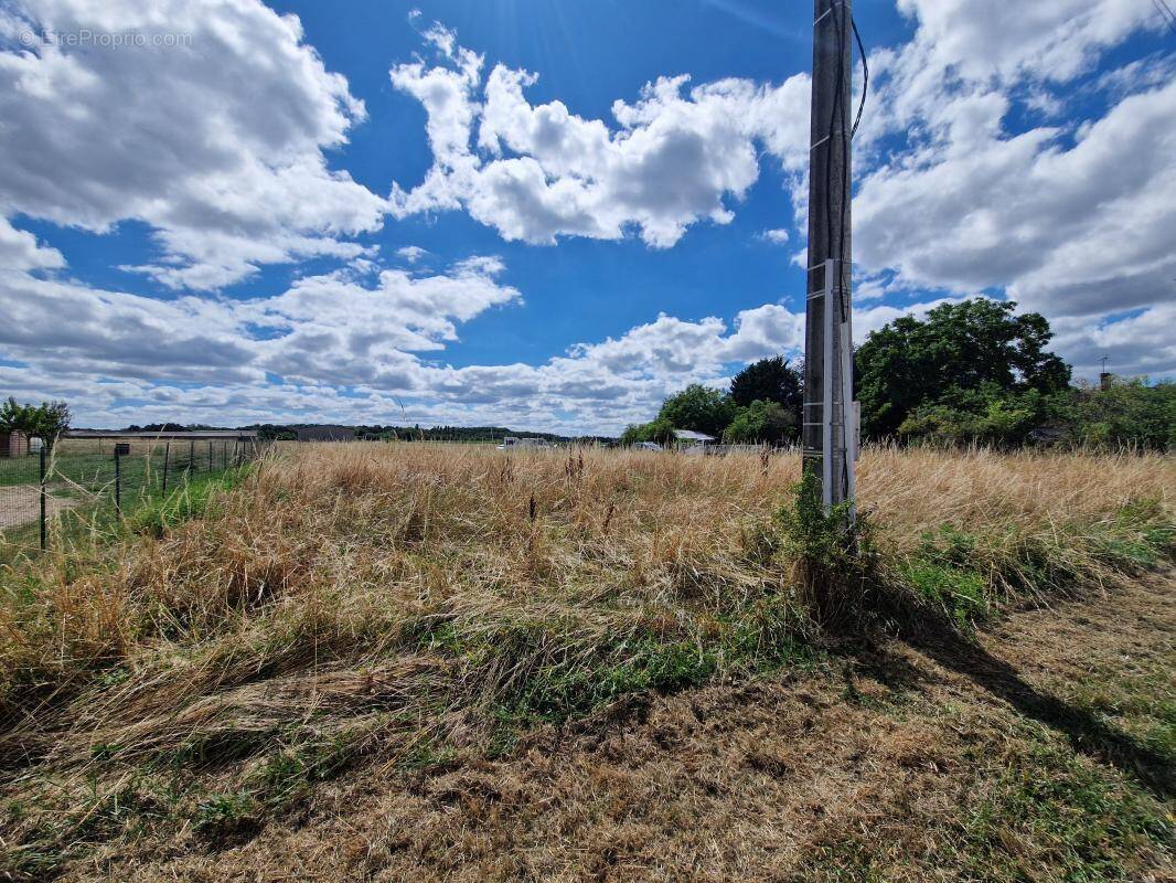 Terrain à CHATILLON-SUR-CHER