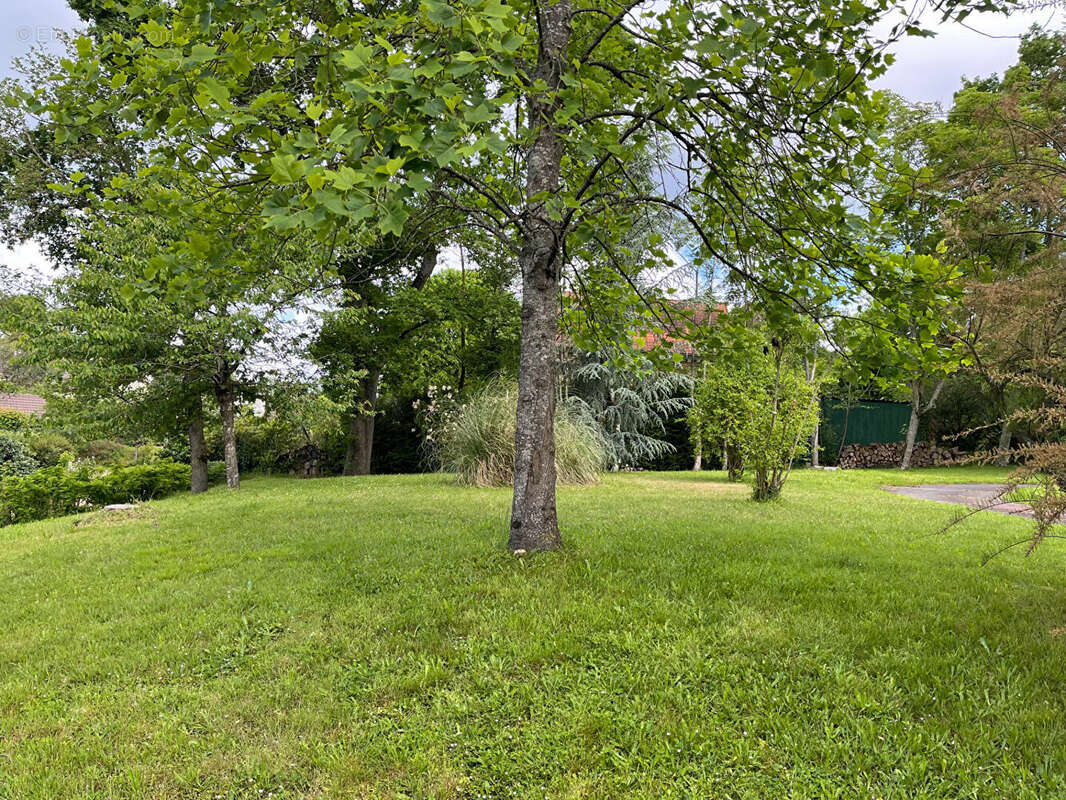 Terrain à NEAUPHLE-LE-CHATEAU