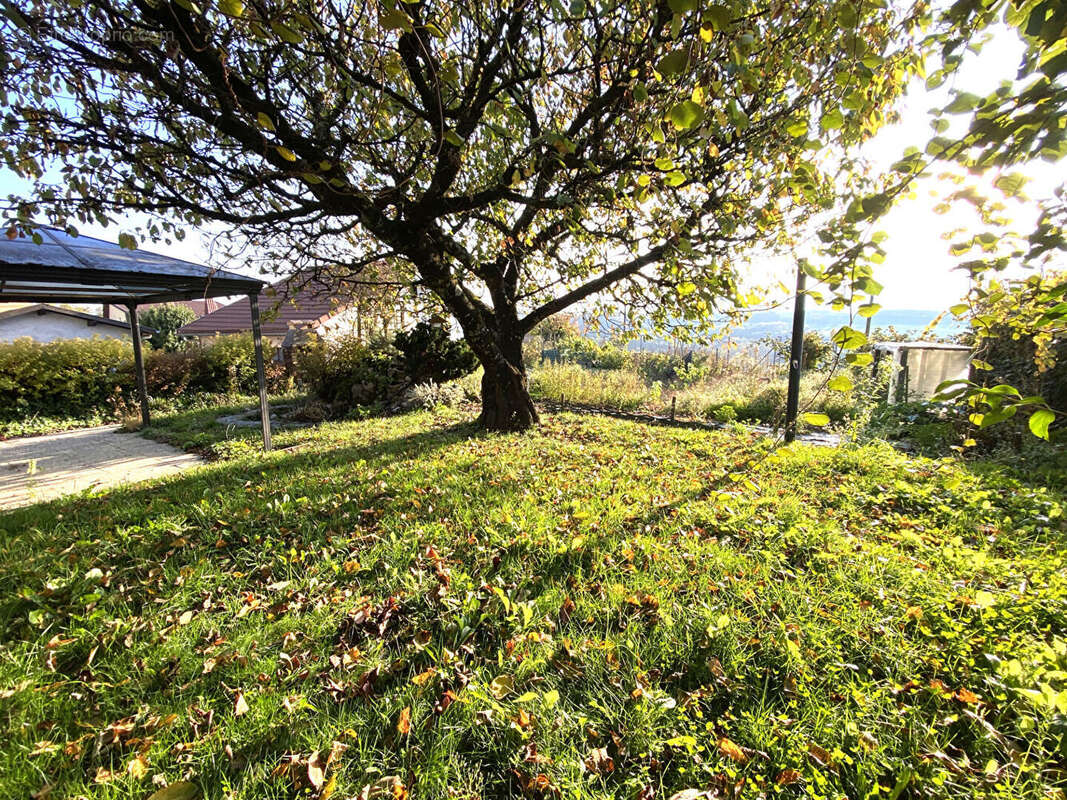 Maison à BELLEGARDE-SUR-VALSERINE