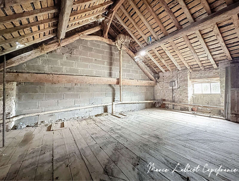 Maison à vendre 3 pièces BOUZONVILLE EN BEAUCE (45) - photo 8