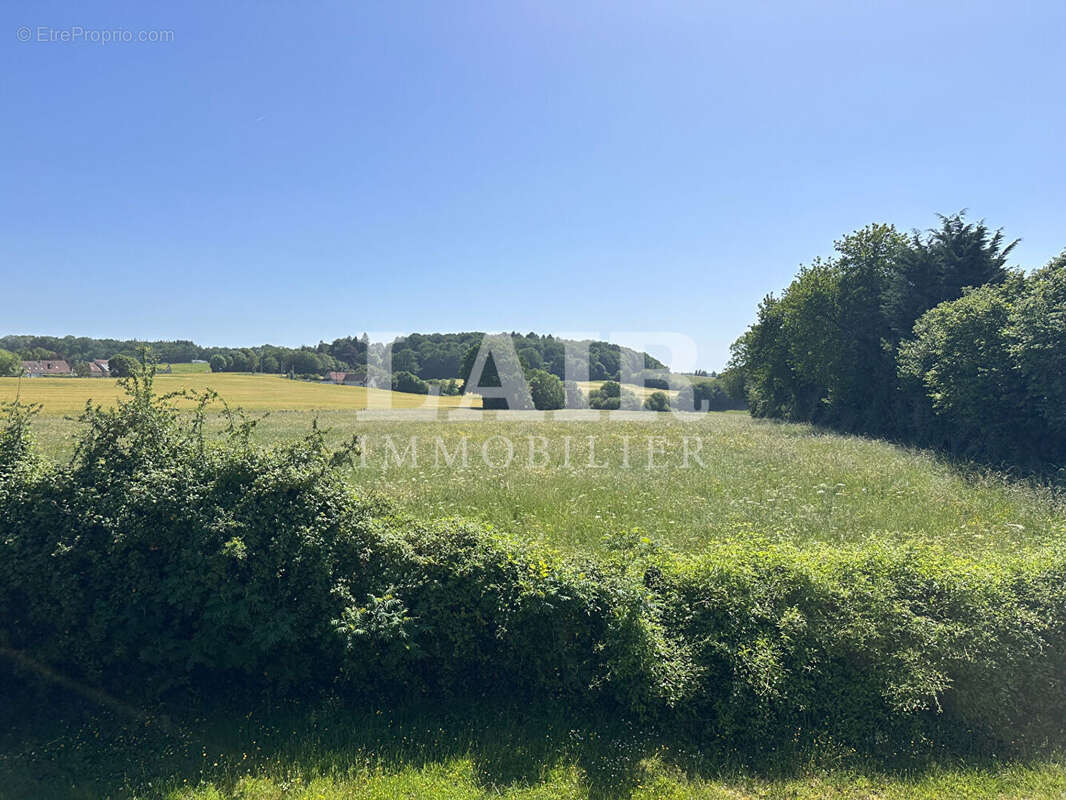 Charmante maison de campagne en viager libre. Belle opportunité au coeur du Perche ! - B15222 - photo 4