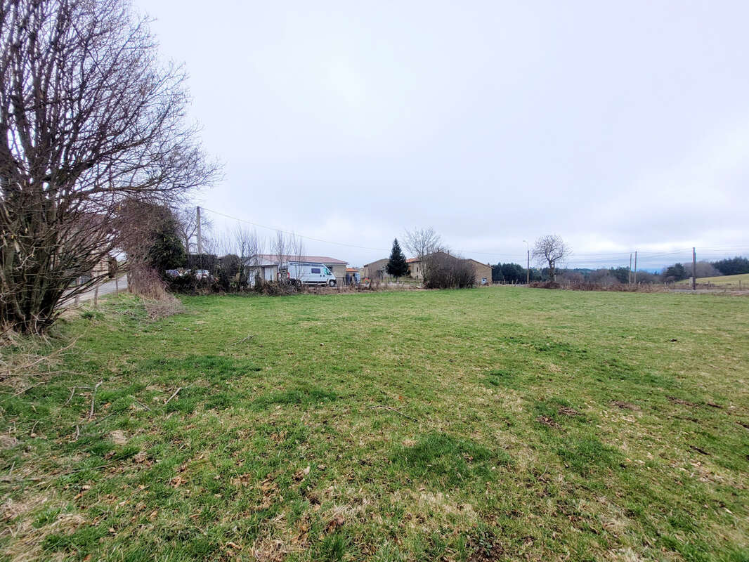 Terrain à ROZIER-COTES-D&#039;AUREC