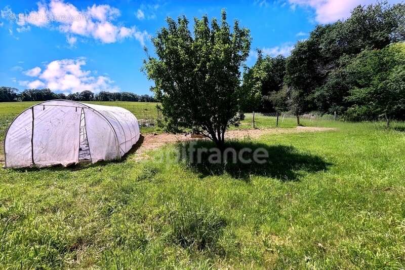 Lopérec(29) Longère pleine de cachet - 110m² + combles aménageables - Terrain 2500m² - photo 12