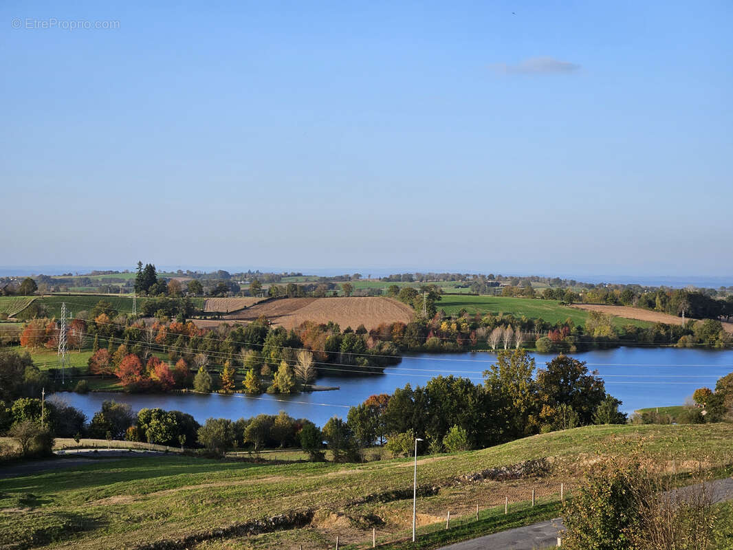 Commerce à BARAQUEVILLE