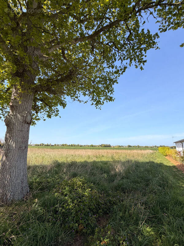 Terrain à SAINT-ALBAN